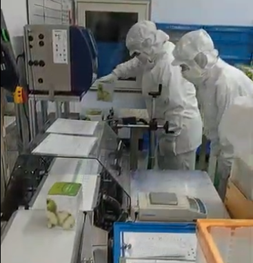 見守りの時間です