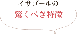 イサゴールの選ぶべき特徴