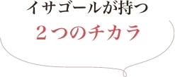 イサゴールが持つ2つのチカラ