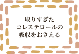 取りすぎたコレステロールの吸収をおさえる