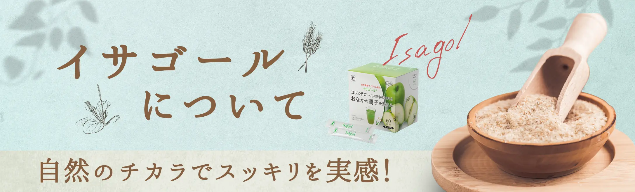 イサゴールについて